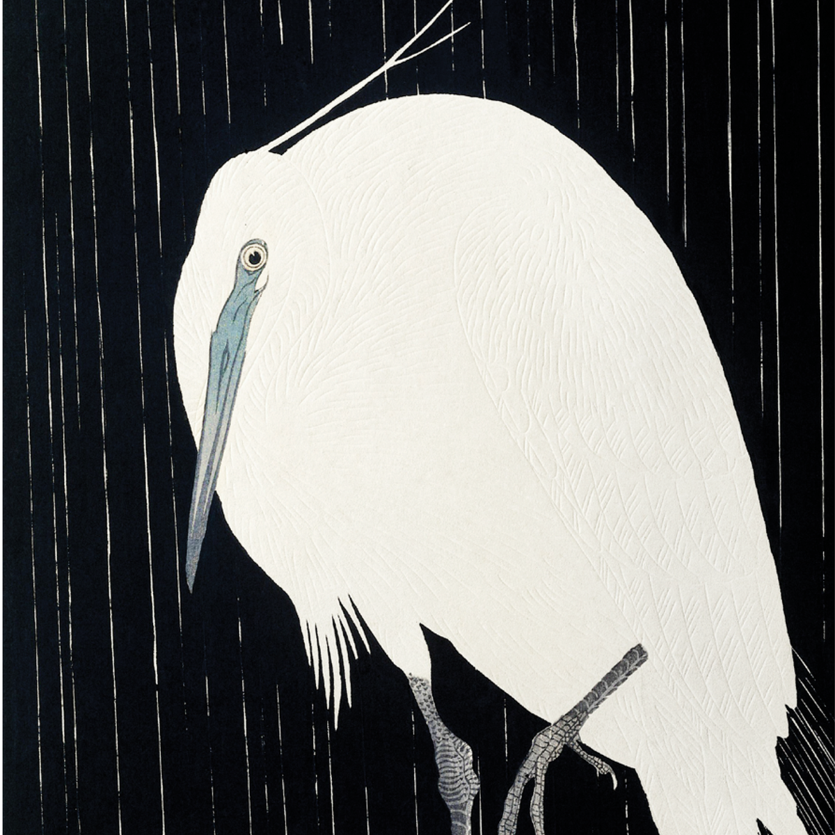 Egret in the Rain