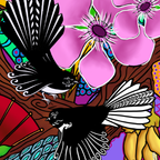 Fantail Fancy