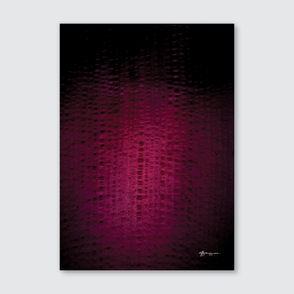 A close-up photograph of a fuchsia banana blossom with a bubble-like texture and soft shadows, part of the 'Te Ao Tāroa' collection.