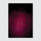 A close-up photograph of a fuchsia banana blossom with a bubble-like texture and soft shadows, part of the 'Te Ao Tāroa' collection.