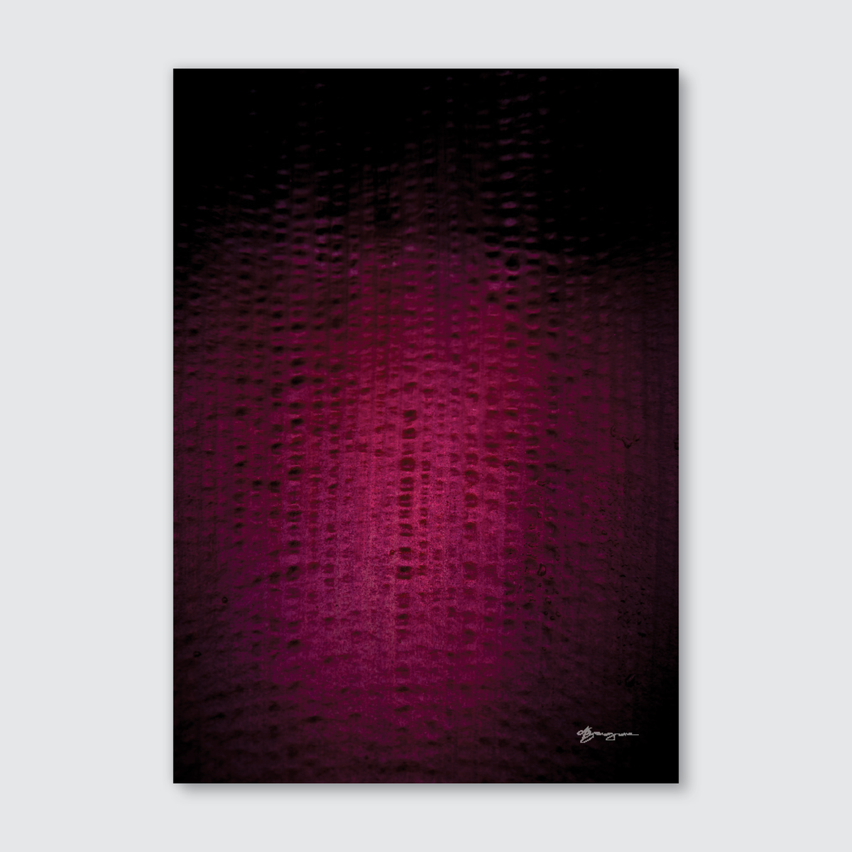 A close-up photograph of a fuchsia banana blossom with a bubble-like texture and soft shadows, part of the 'Te Ao Tāroa' collection.