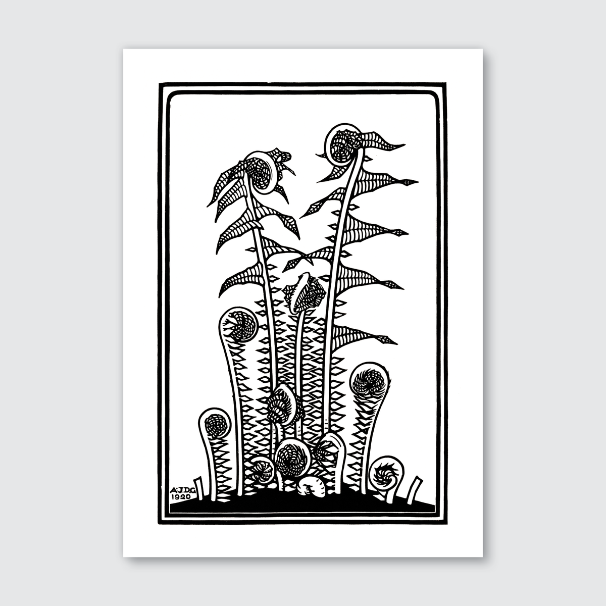 A detailed black and white woodcut print of ferns with flowing lines, etched with precision.