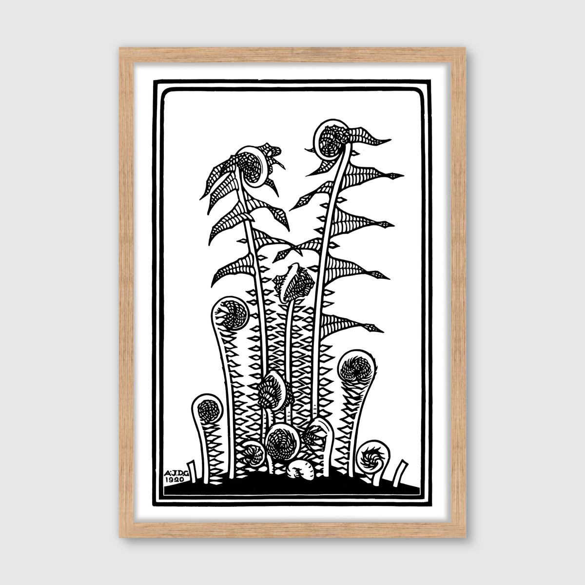 Ferns (1920)