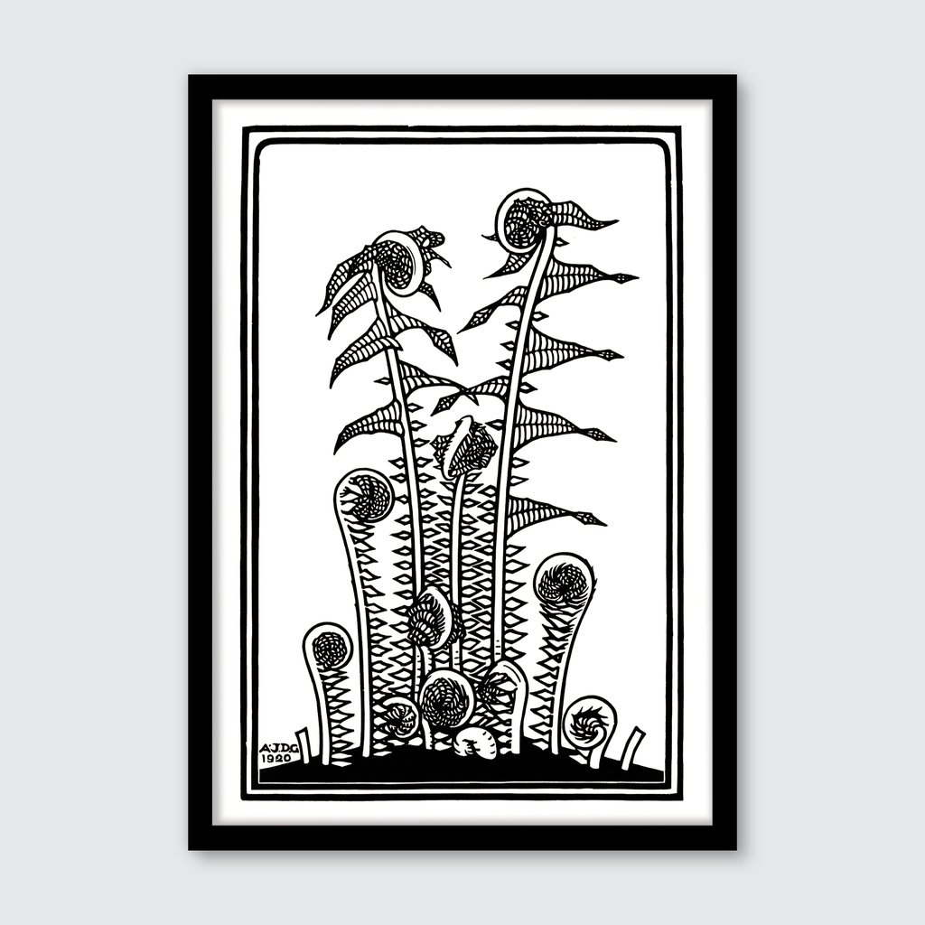 Ferns (1920)