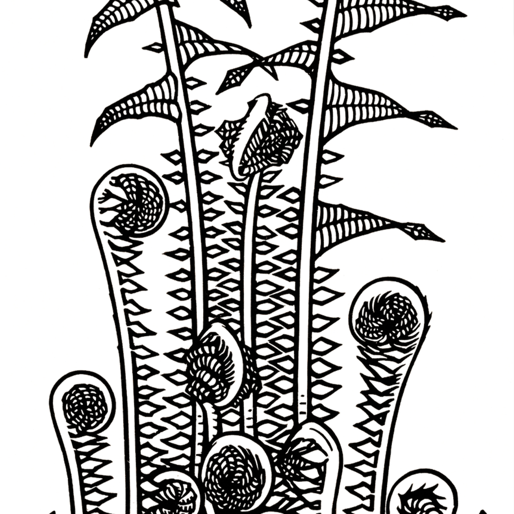 Ferns (1920)