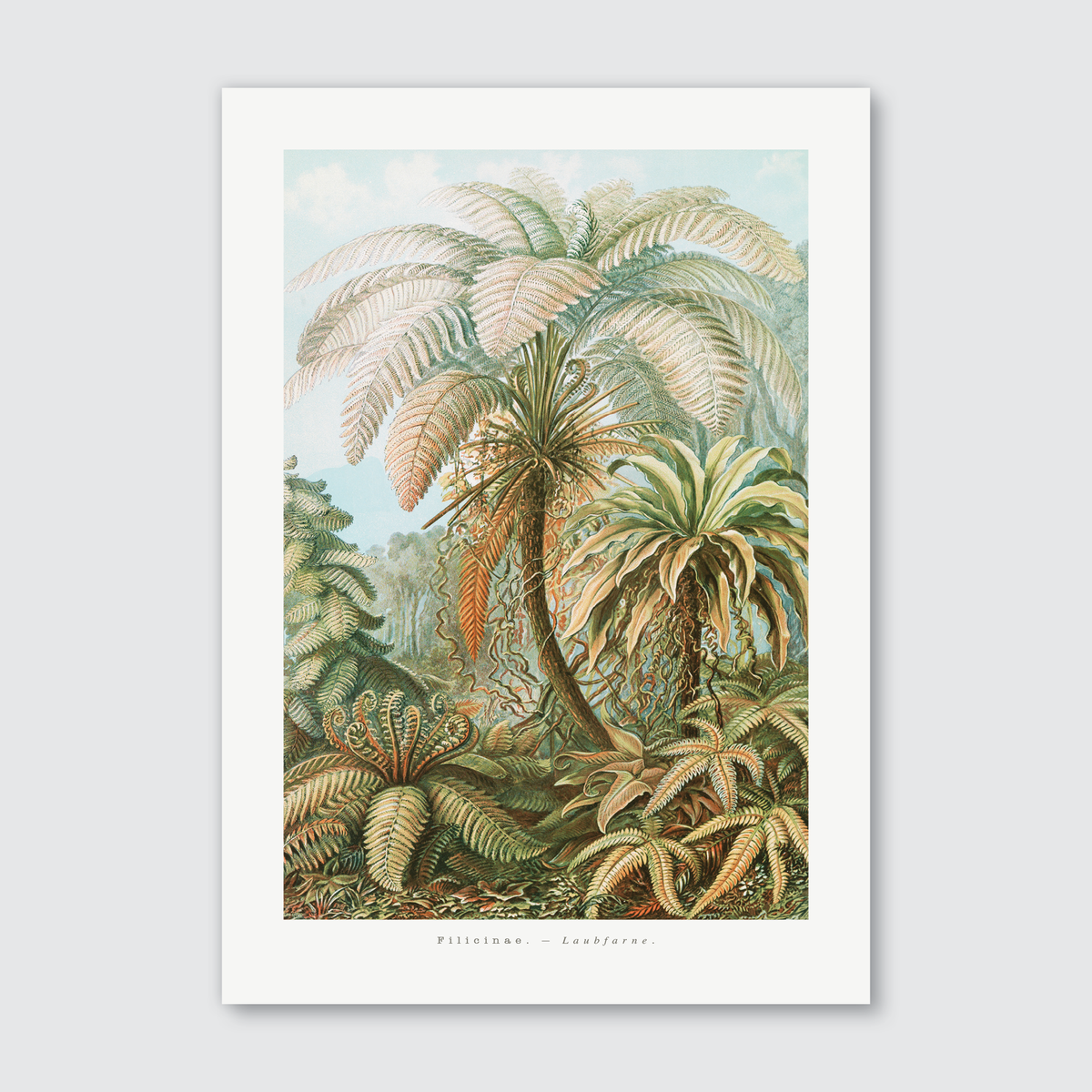 A vibrant art print featuring an illustration of ferns with intricate details and a color palette that includes lush greens, soft silvers, and hints of amber.