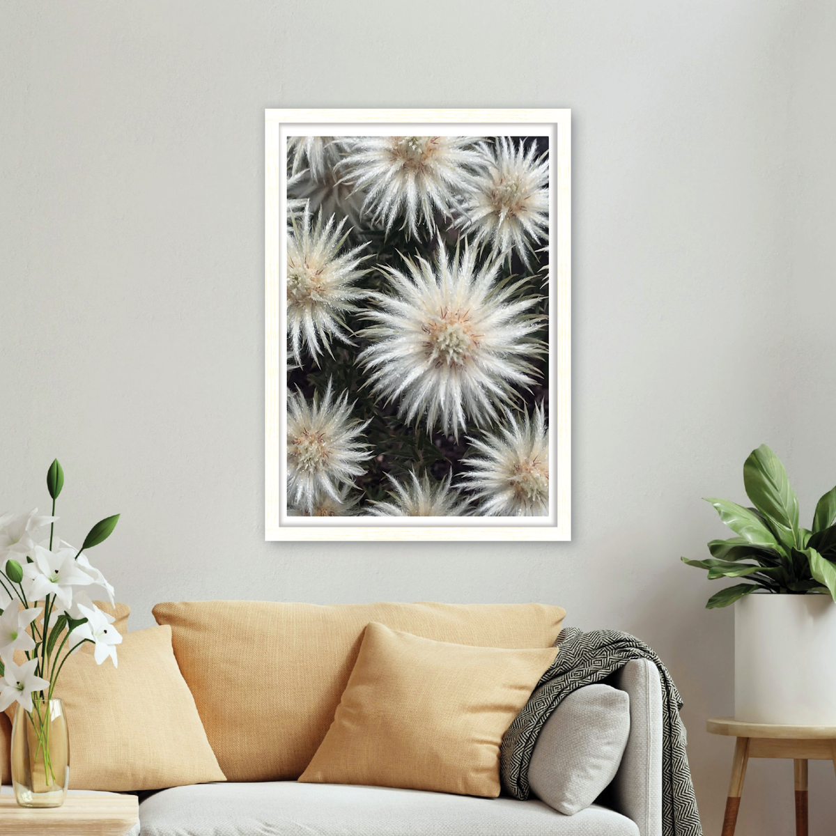 Floral Stars