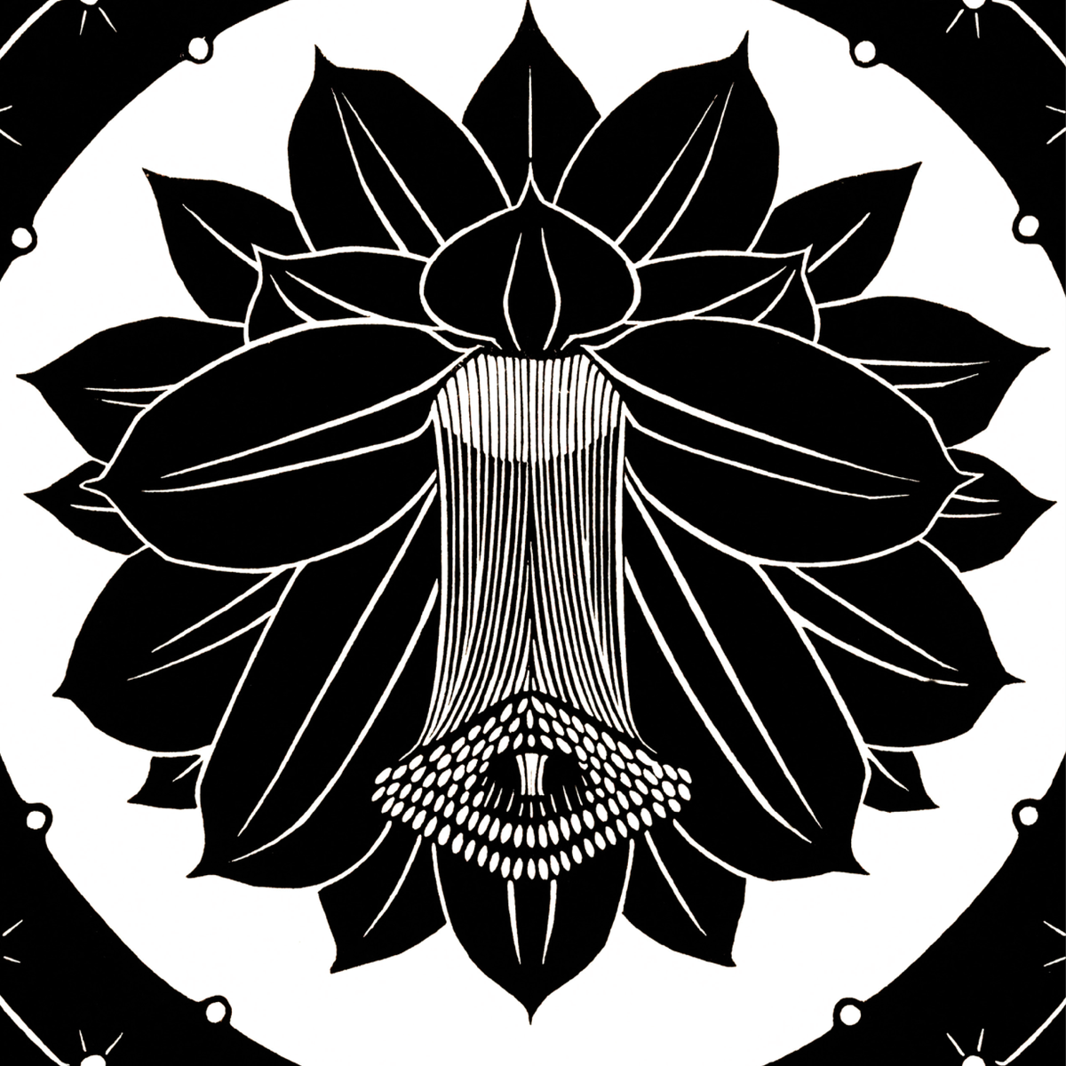 Flower (1920)