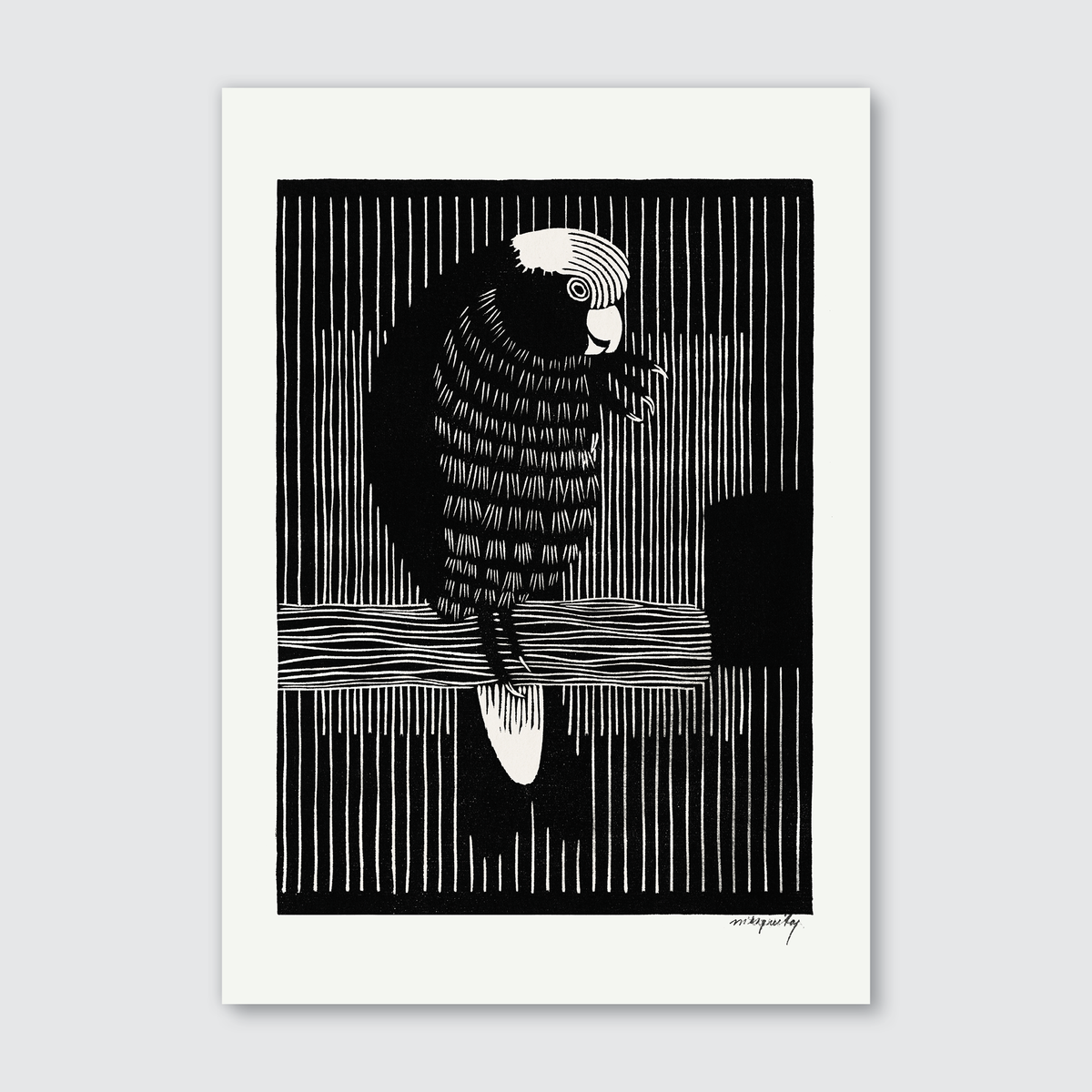 Galah Cockatoos (1917)