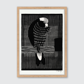 Galah Cockatoos (1917)