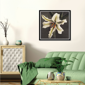 Hakuwo Lily