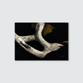 A photograph of a twisted and gnarled piece of driftwood against a dark backdrop, with a rock in the corner adorned in golden moss.