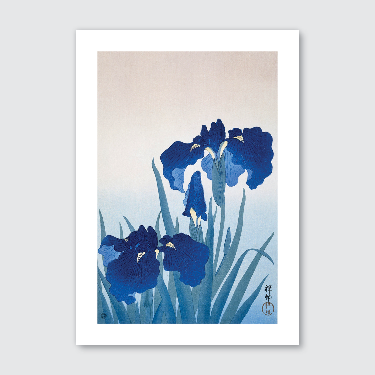 Iris Flowers