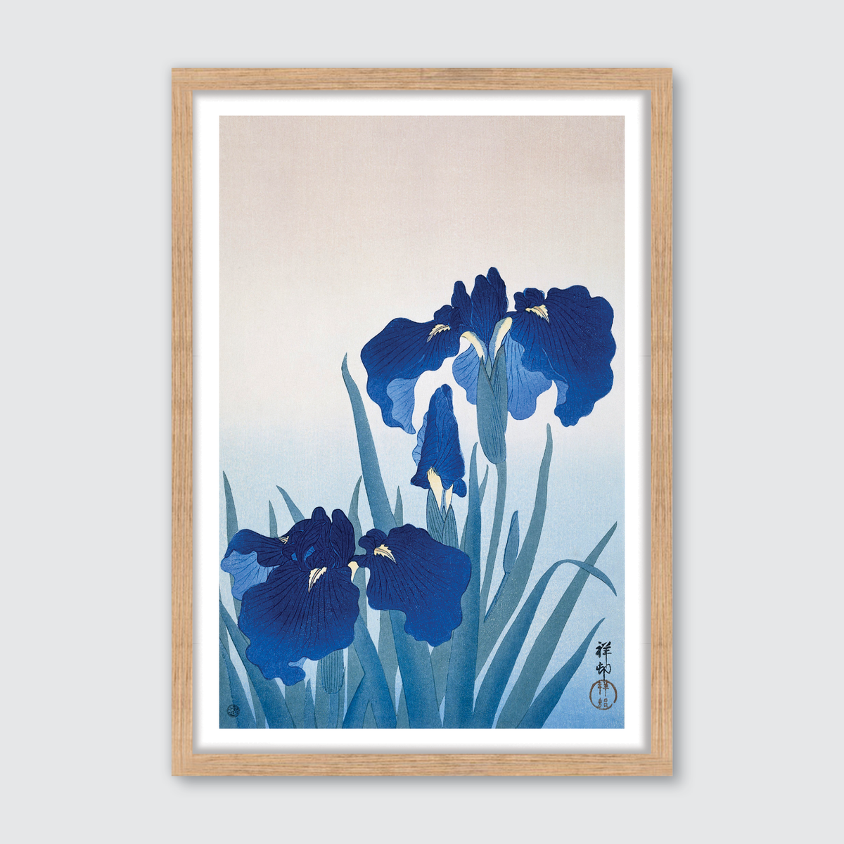 Iris Flowers