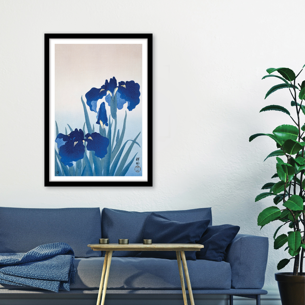 Iris Flowers