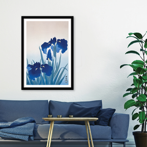 Iris Flowers