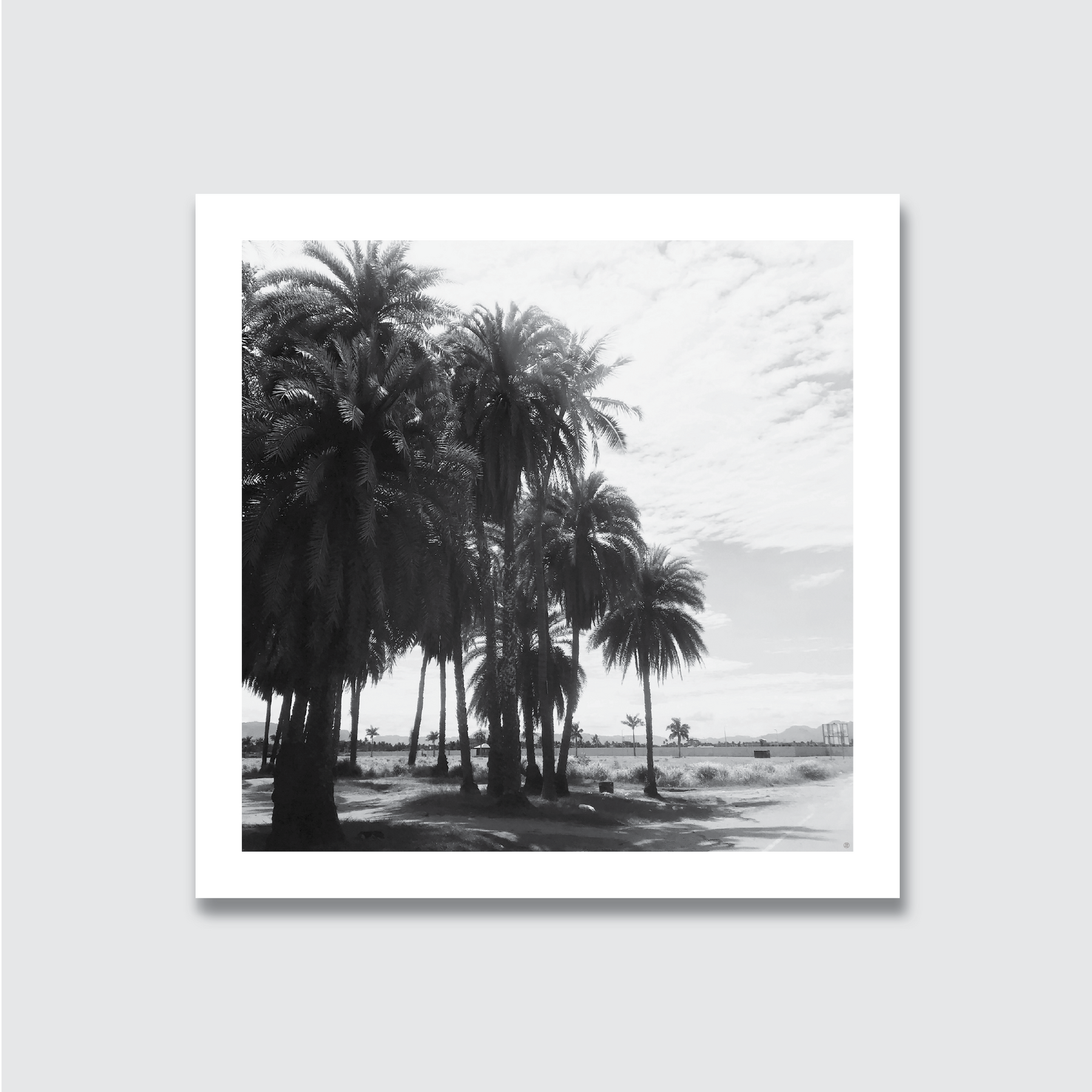 A black and white photograph of a group of palm trees on a beach with a clear sky in the background.
