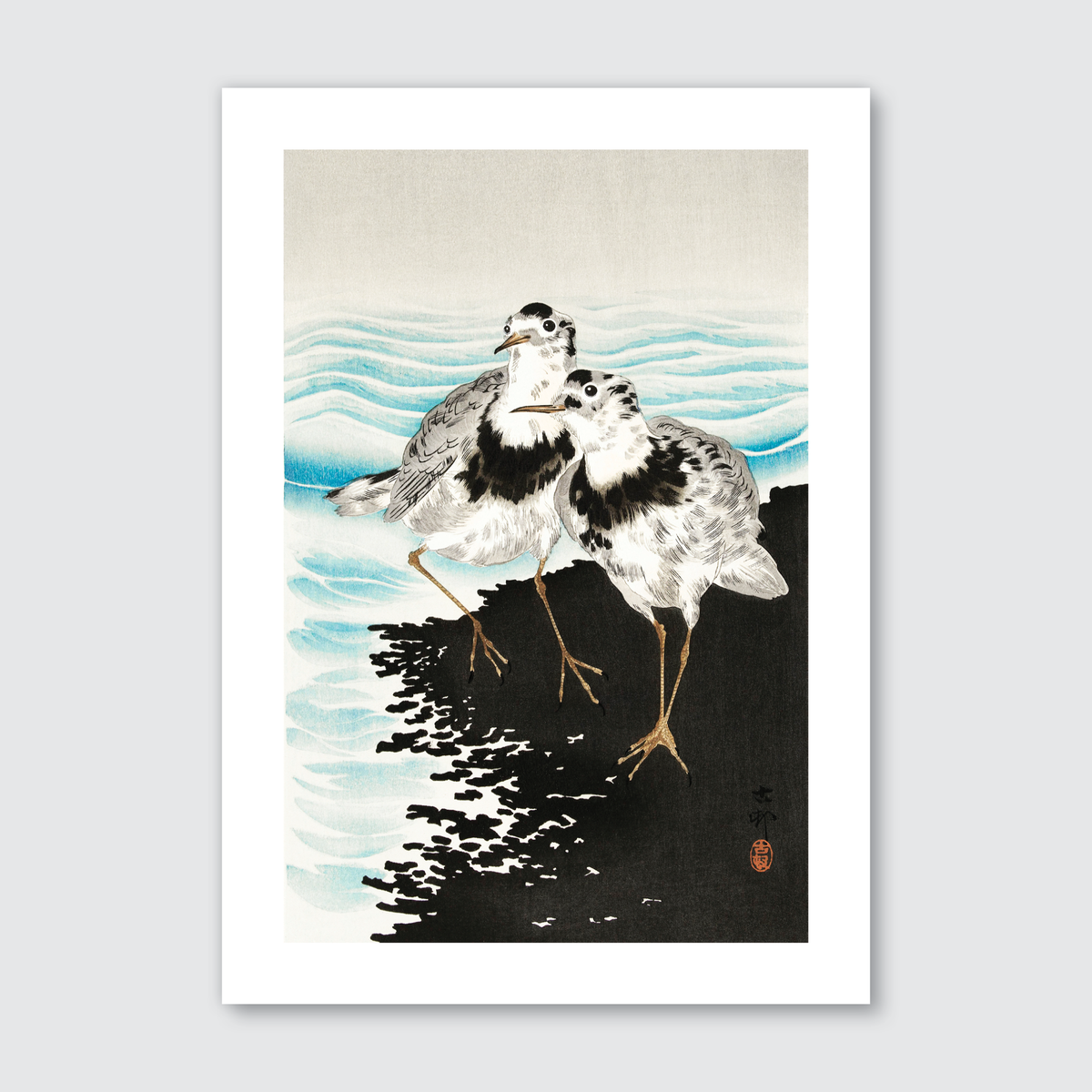 Large Coot Sandpipers