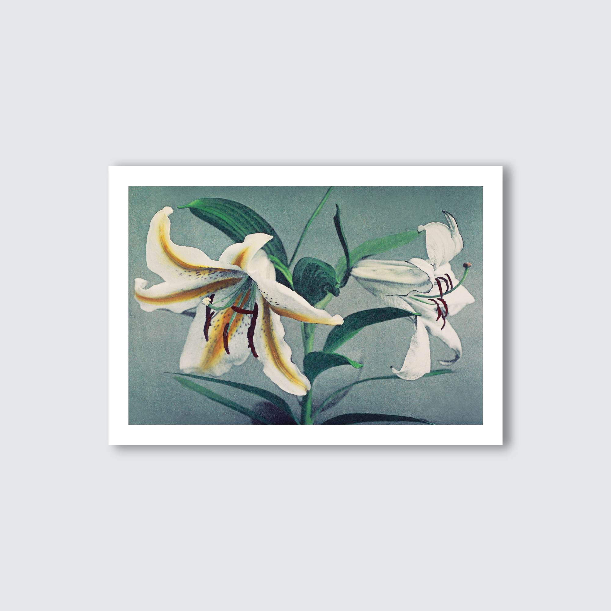 Art Prints by Ogawa Kazumasa | Shop Online | Art & Realism