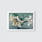 Framed artwork of white lilies on a light gray background