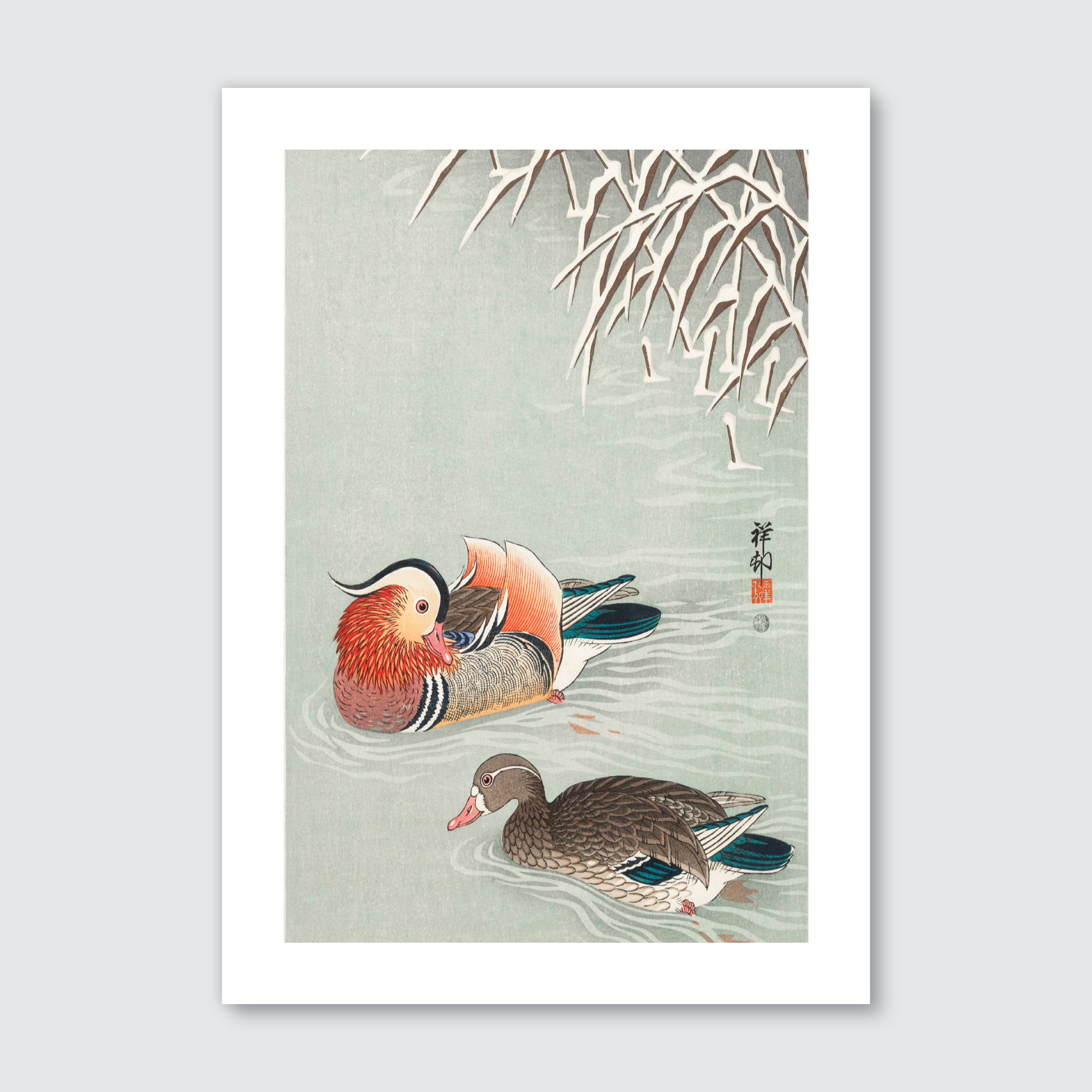 Mandarin Ducks