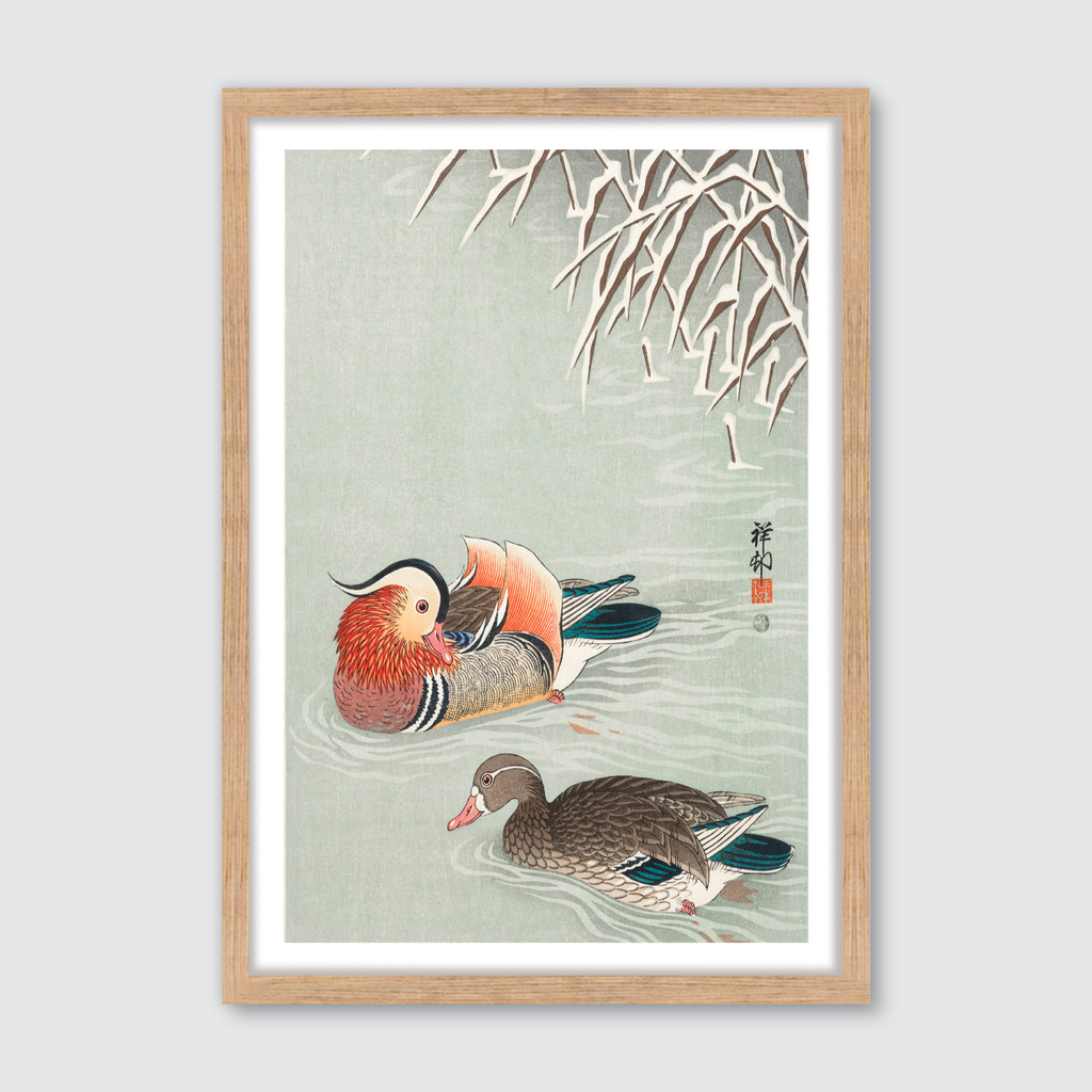Mandarin Ducks