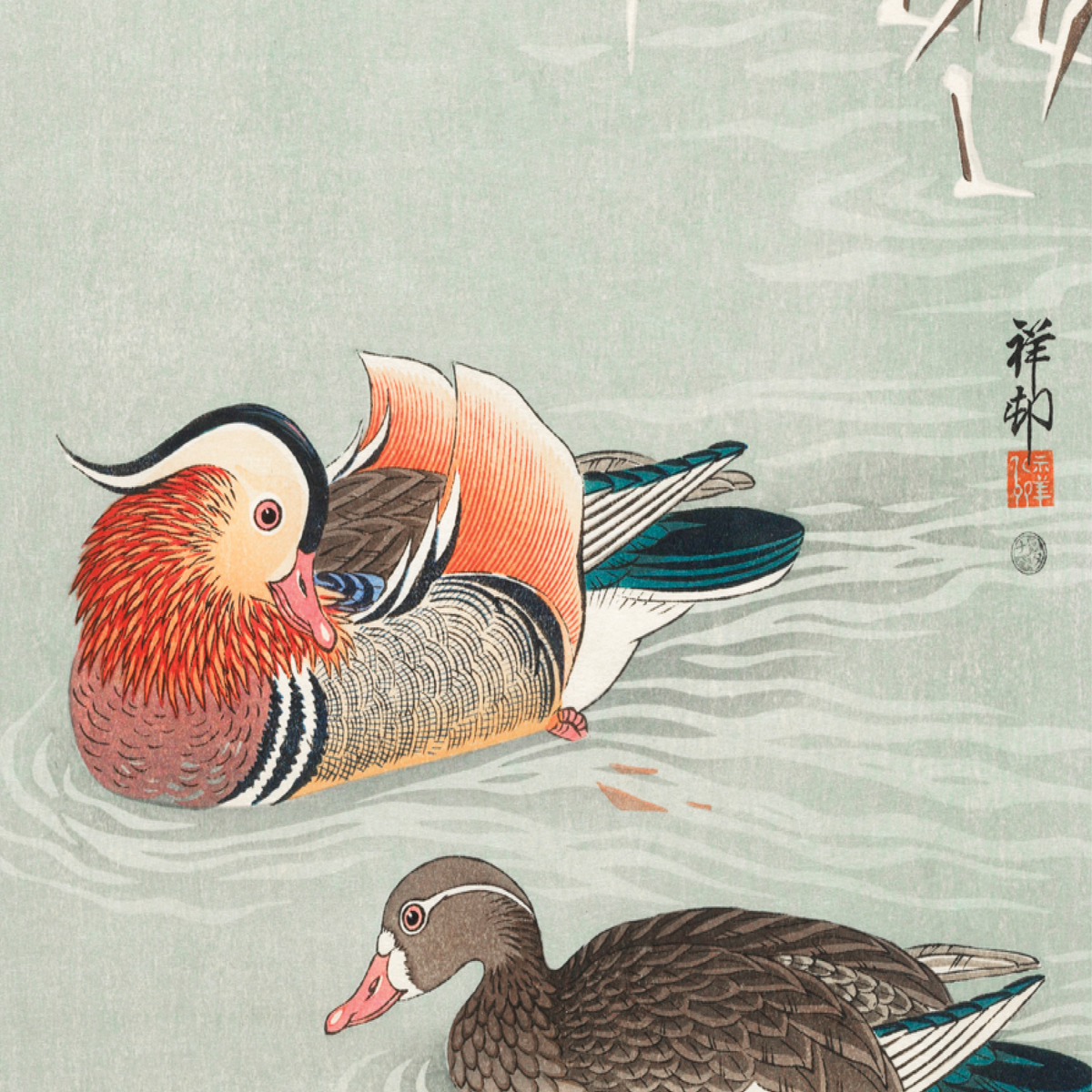 Mandarin Ducks