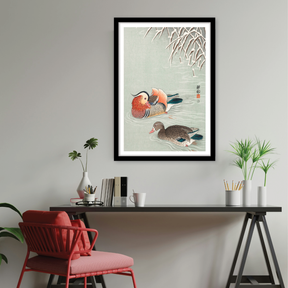 Mandarin Ducks