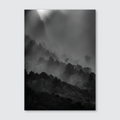 A black and white photograph of a misty landscape with trees silhouetted against a misty backdrop, giving a mystical and enchanting appearance.