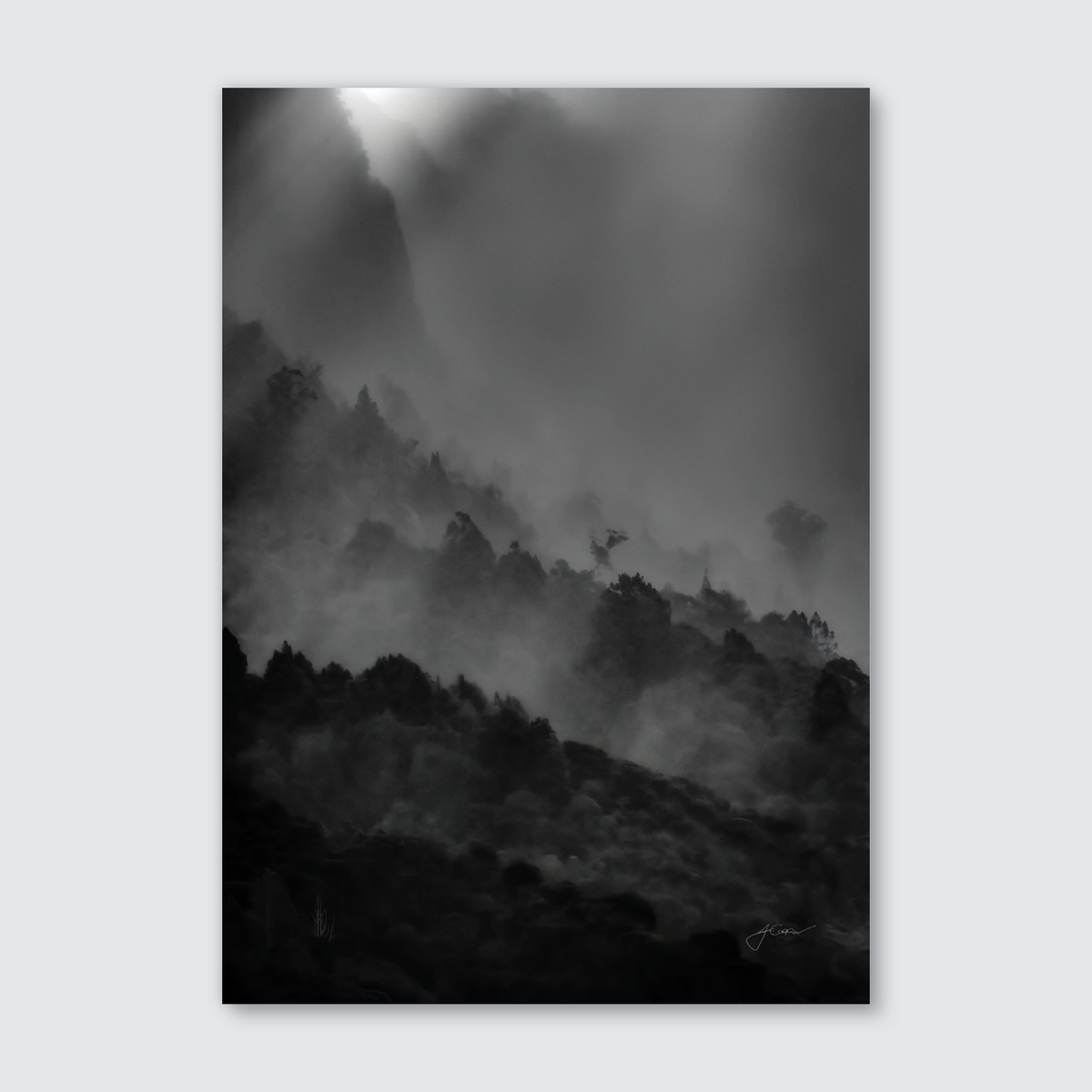 A black and white photograph of a misty landscape with trees silhouetted against a misty backdrop, giving a mystical and enchanting appearance.
