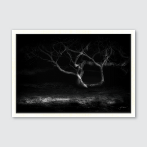 Night Tree