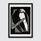 Parakeets (1927)