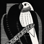 Parakeets (1927)