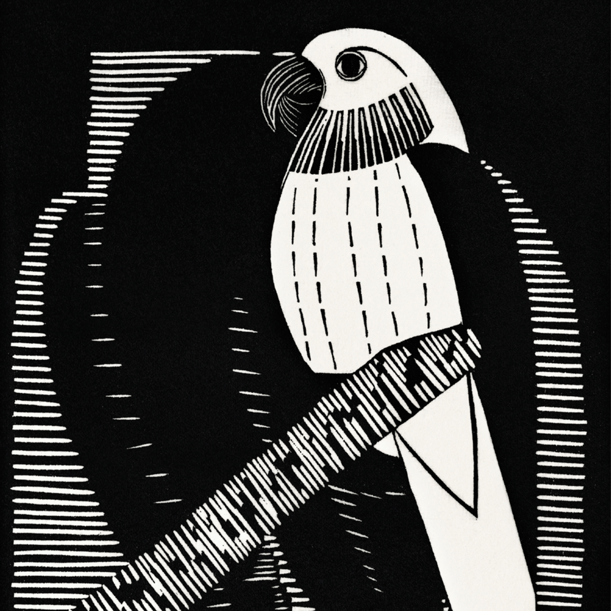 Parakeets (1927)
