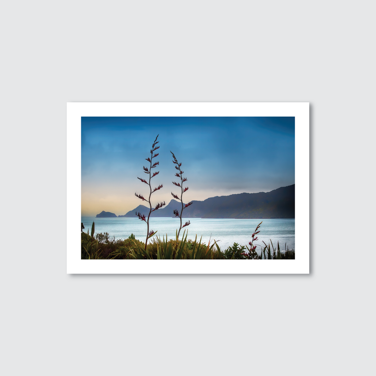 A printed artwork featuring a coastal landscape with flax fronds in the foreground and a view of the ocean and islands in the background.