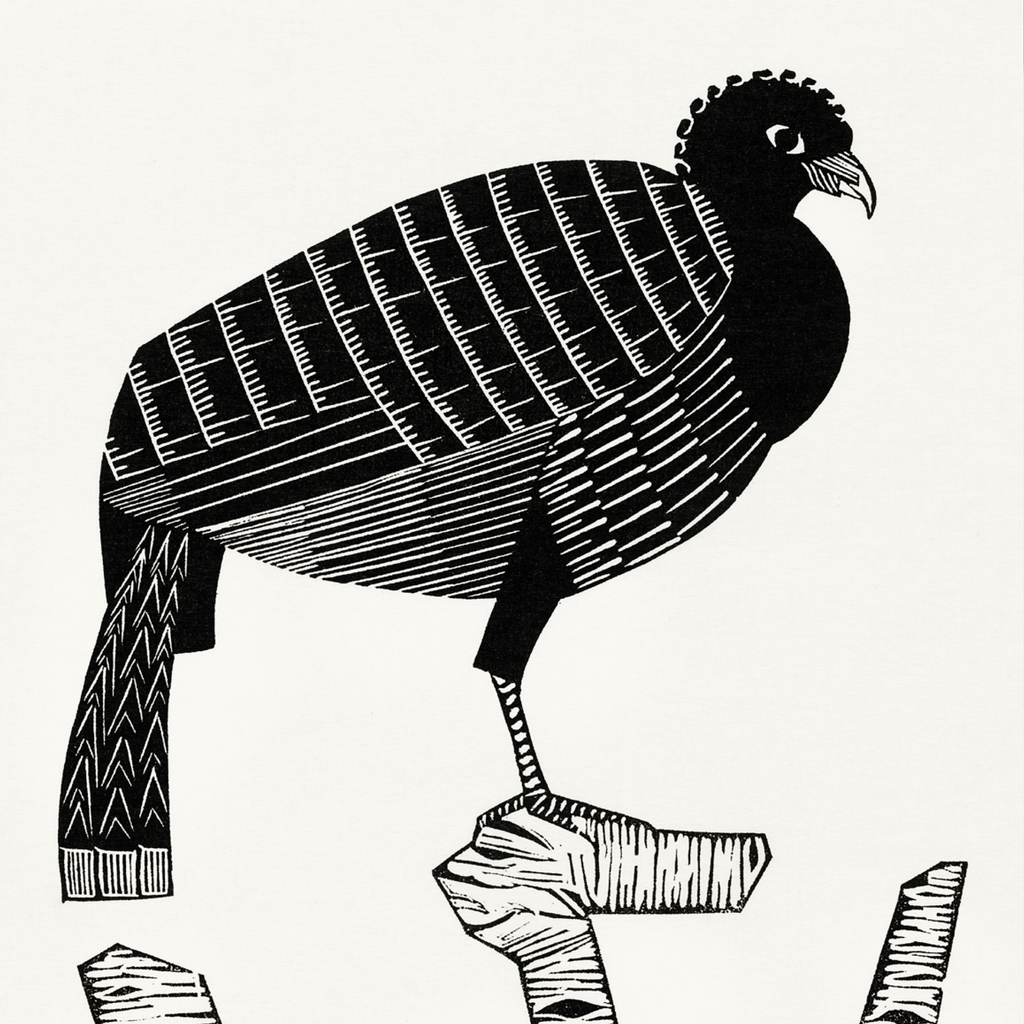Pauwies (1926)