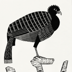 Pauwies (1926)