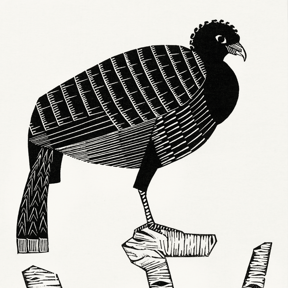 Pauwies (1926)