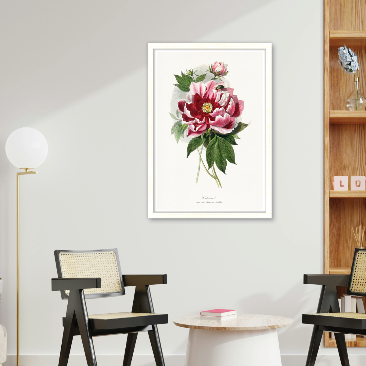 Peony Flower