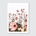 A photograph of soft pink wild daisies with a natural white background, showcasing the flowers' delicate petals and stems.