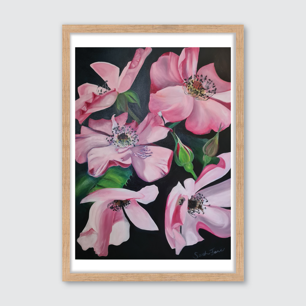 Pink Tumbling Briar Roses