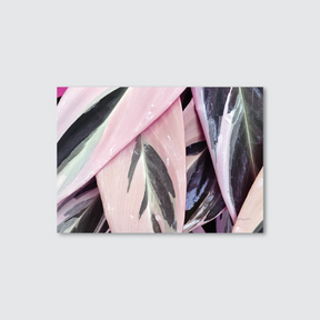 Abstract art print with pink, green, and purple abstract shapes on a light gray background
