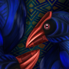 Pukeko Duality