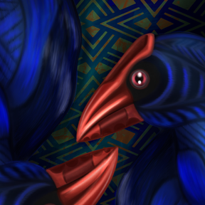 Pukeko Duality