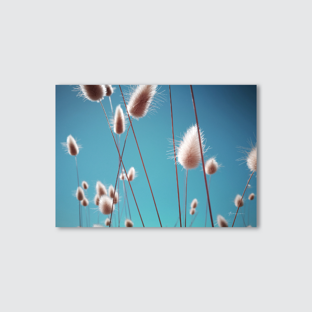 Pink bunny tails against a blue sky