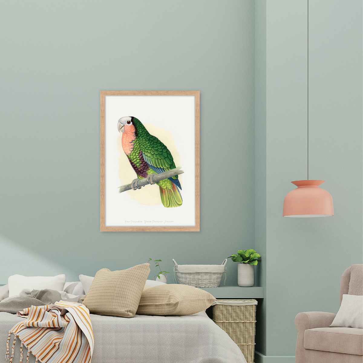 Red-Throated Amazon