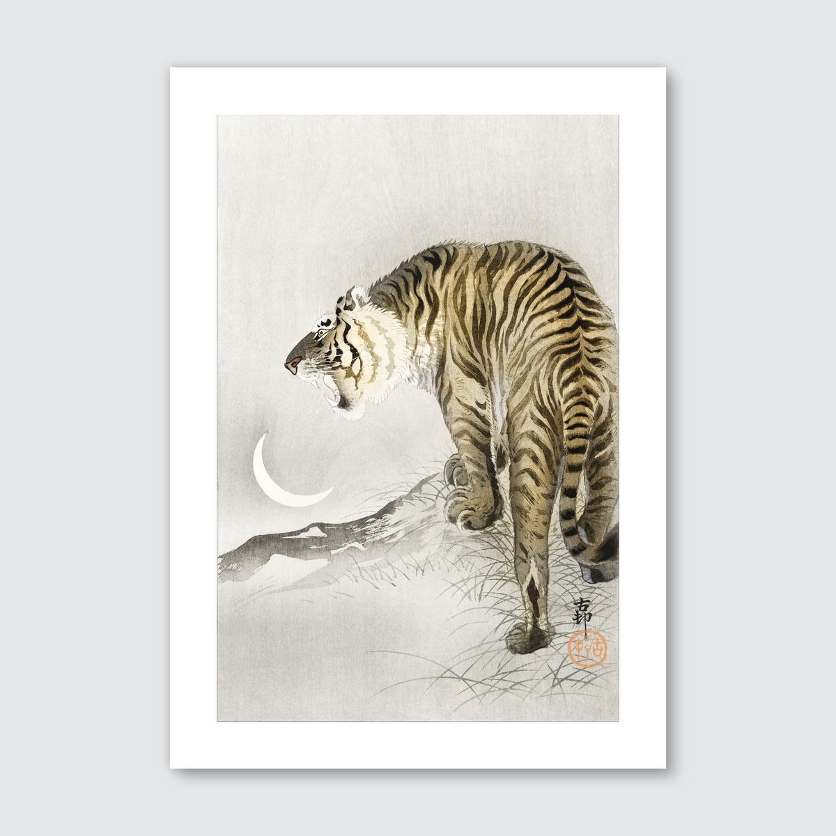 Roaring Tiger