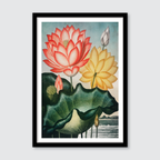 Sacred Egyptian Bean (1807)