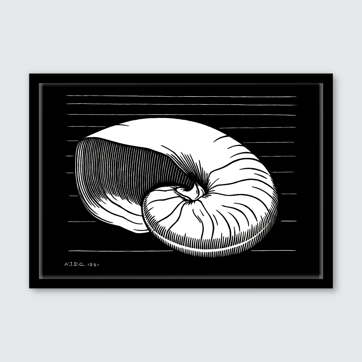 Shell (1921)