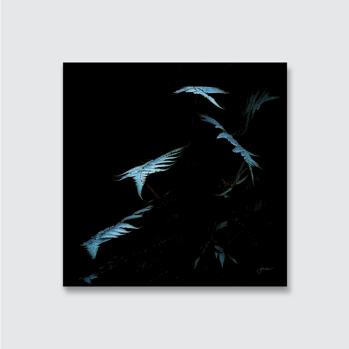 Abstract artwork with blue feather-like shapes on a black background